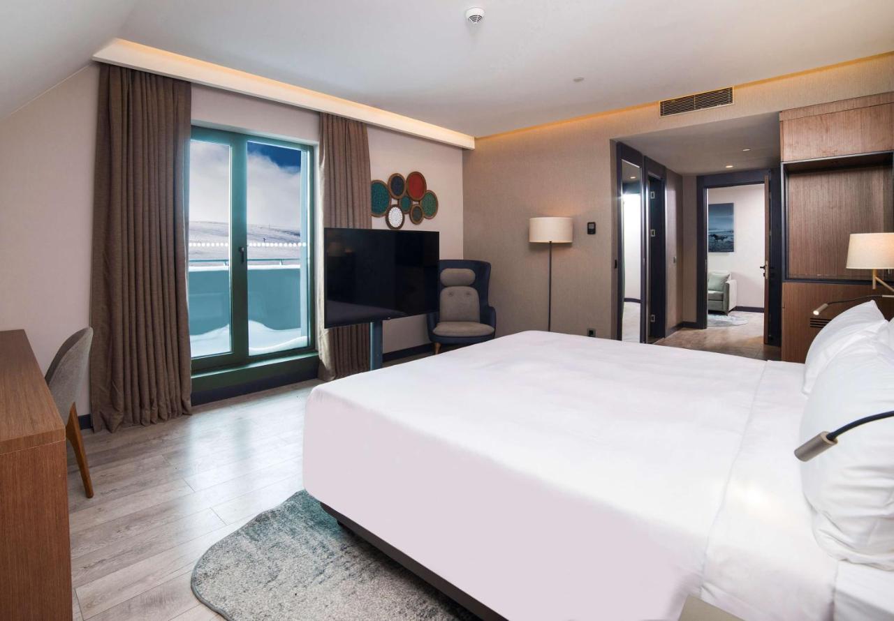 Hotel Radisson Blu Hotel, Mount